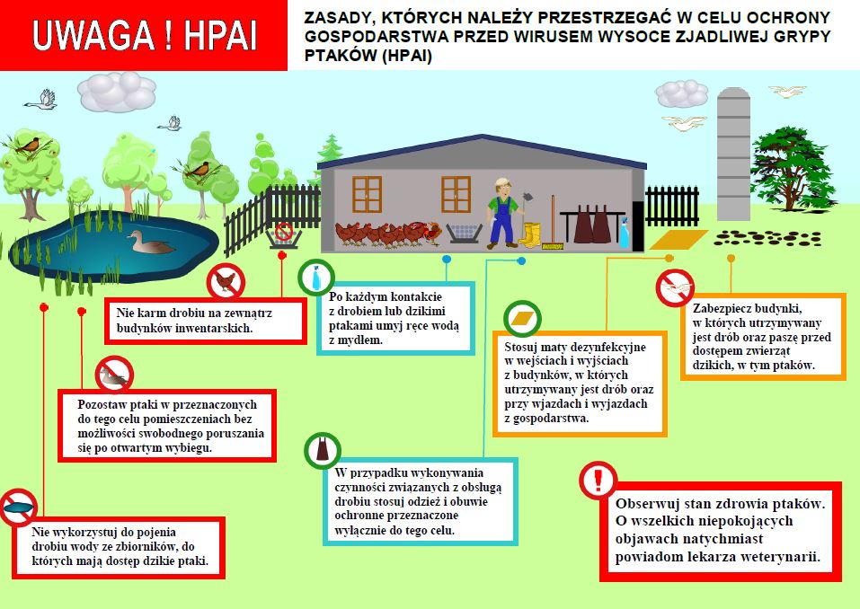 Plakat z informacją o zasadach ochrony gospodarstw przed wirusem wysoce zjadliwej grypy ptaków HPAI