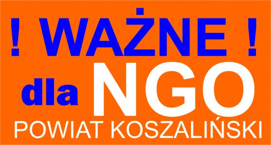 Ogłoszenie o naborze do Powiatowej Rady Działalności Pożytku Publicznego w Koszalinie