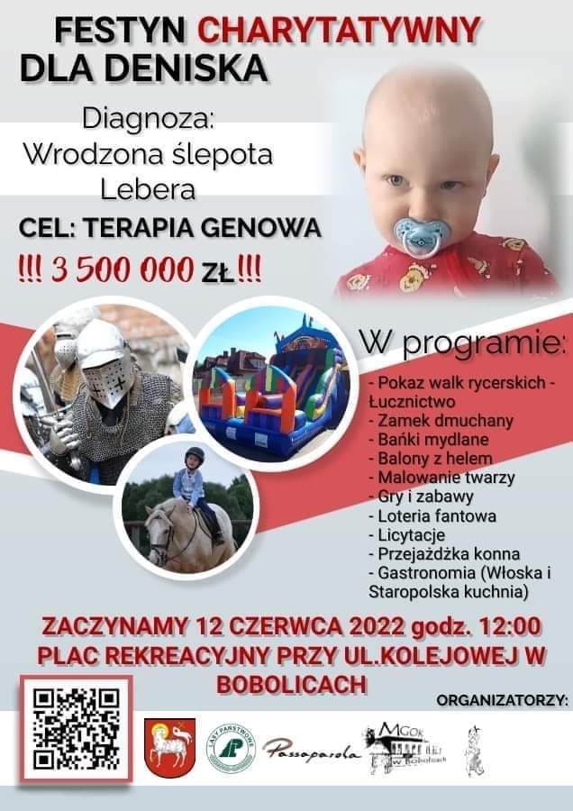 Plakat zapraszający do udziału w Festynie charytatywnym dla Deniska w dniu 12 czerwca 2022 plac rekreacyjny w Bobolicach