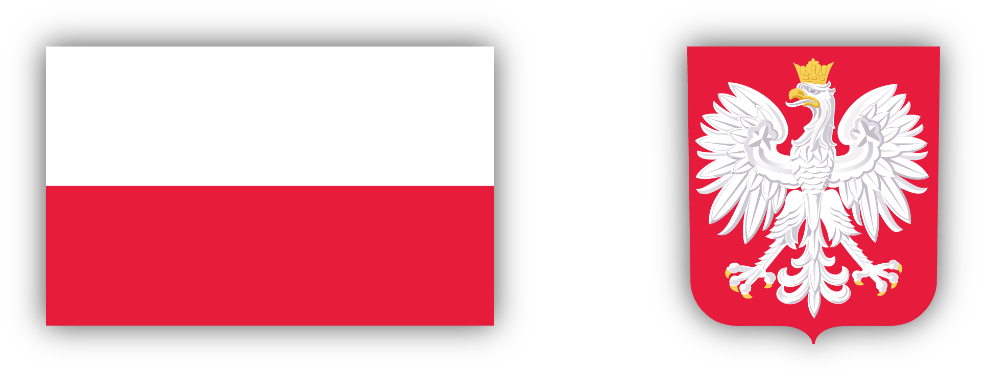 element graficzny flaga i godło RP