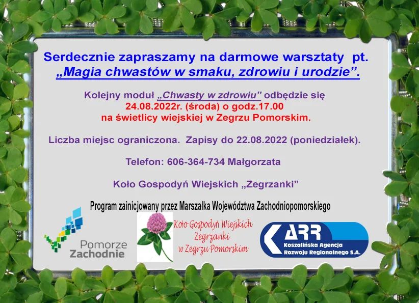 Warsztaty magia chwastów w smaku, zdrowiu i urodzie w Zegrzu Pomorskim 24 sierpnia 2022