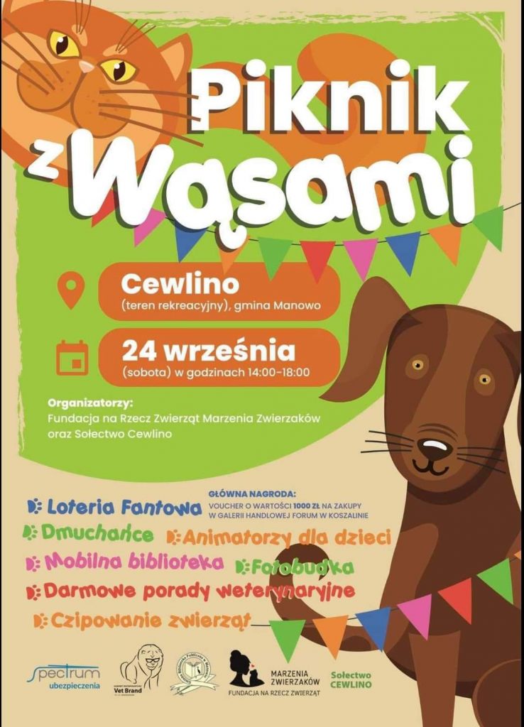 Plakat informujący o wydarzeniu Piknik z Wąsami w miejscowości Cewlino w dniu 24 wrzesnia 2022