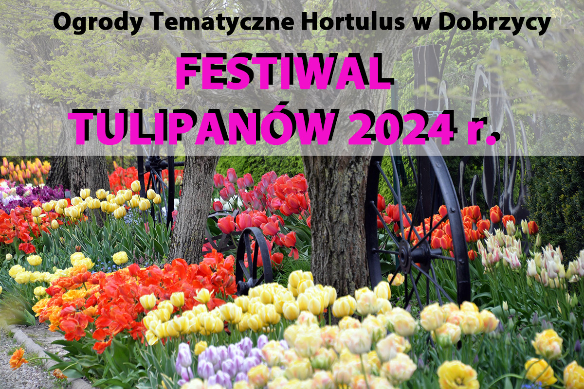 Plakat z zaproszeniem na festiwal tulipanów 2024 w Ogrodach Hortulus