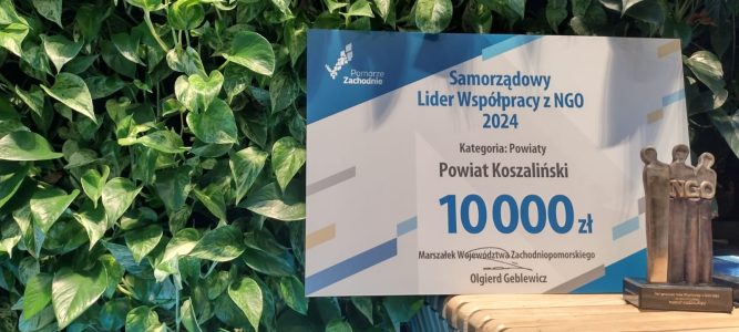 Oferty realizacji zadań publicznych (finansowane w ramach nagrody Lider Współpracy z NGO 2024)