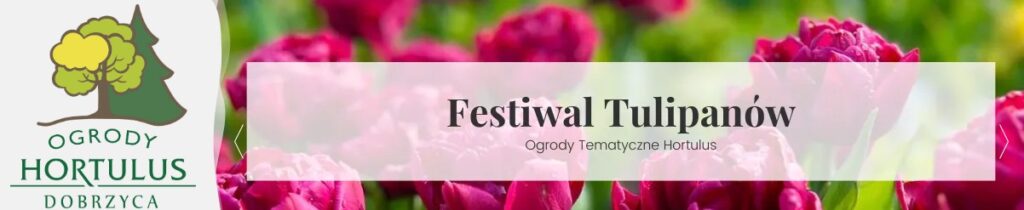 banerek festiwal tulipanów w Ogrodach Hortulus w Dobrzycy