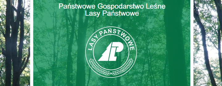 Informacja o Wielkoobszarowej Inwentaryzacji Stanu Lasu w kraju w latach 2025-2029