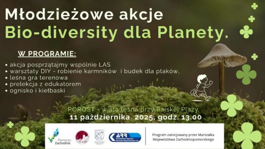 Akcja ekologiczna – leśny październik!